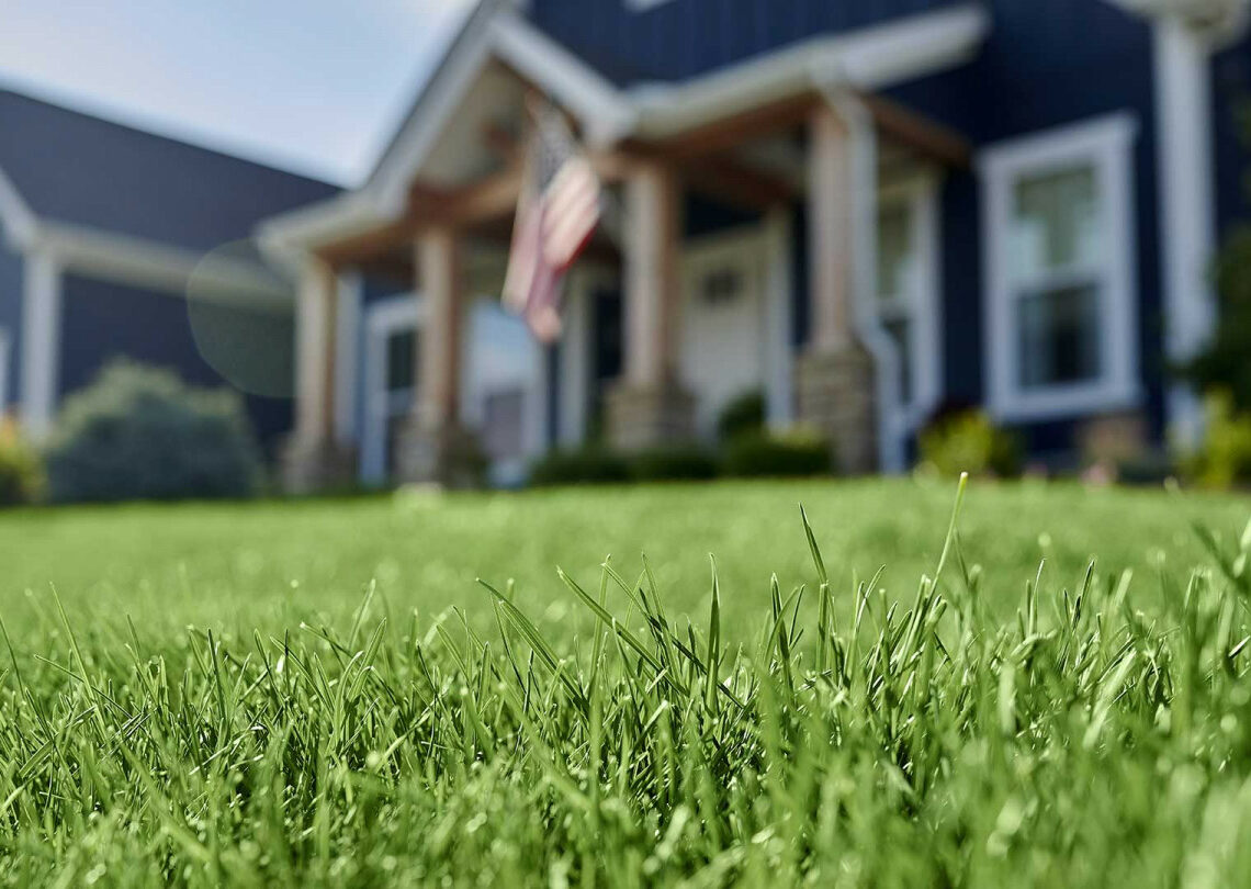1 Green Yard