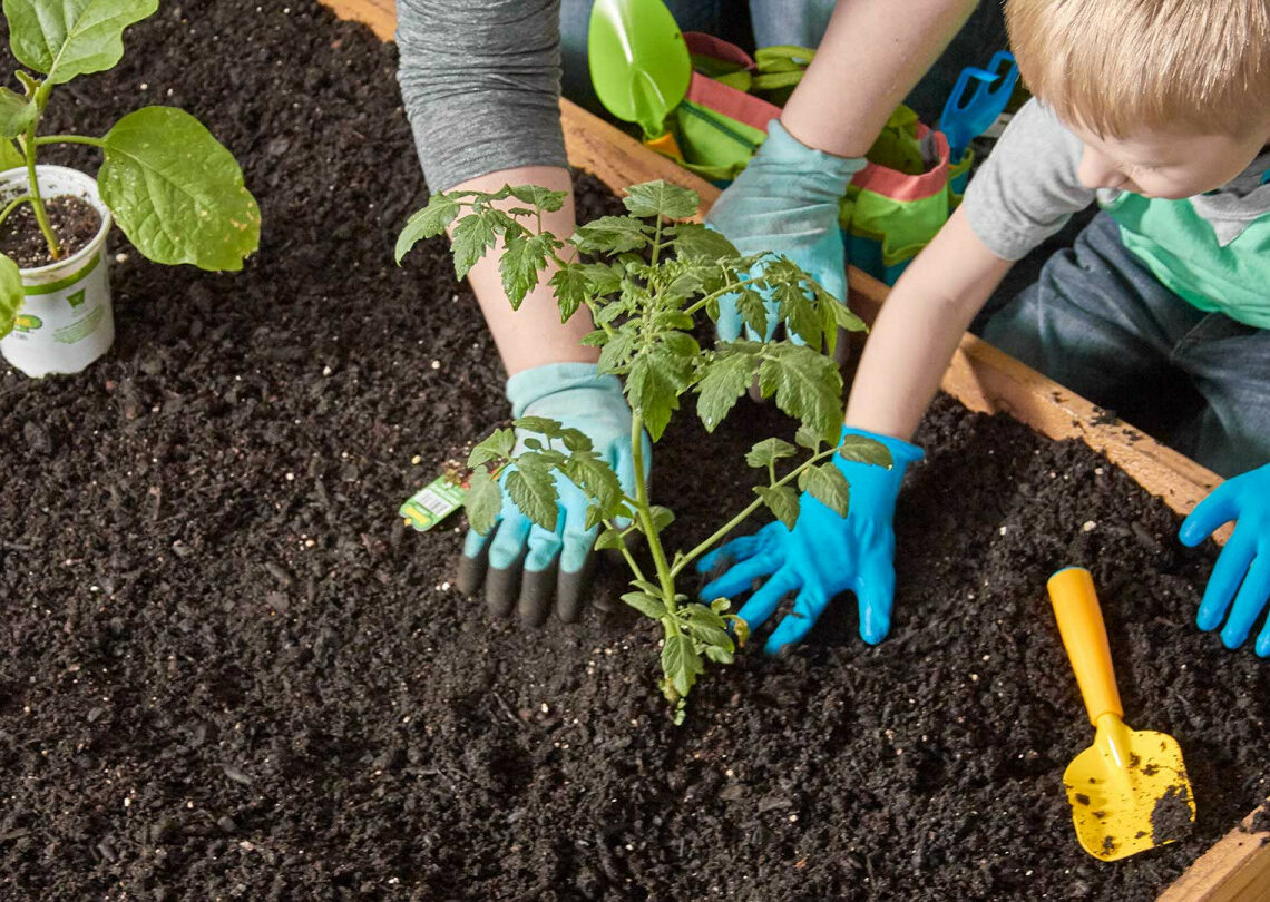 2 Planting in Soil